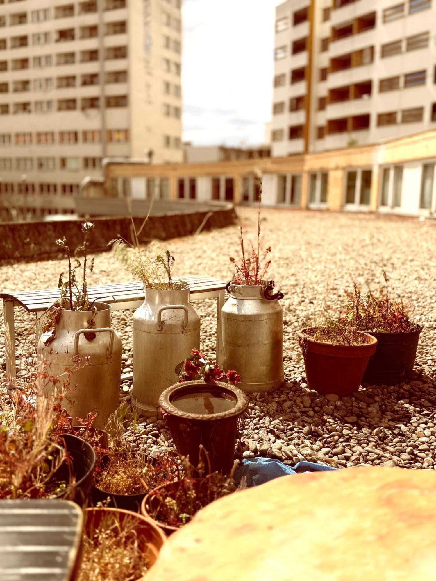 Comebackpackers Berlin Bagian luar foto